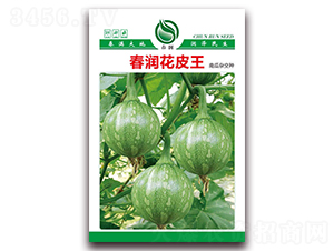 ������Ƥ��-�ϹϷN��-�����N�I(y��)