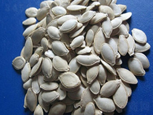 �����J�N��-�r(n��ng)����(l��)