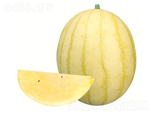 �����S-���ϷN��-����(y��u)�r(n��ng)�I(y��)