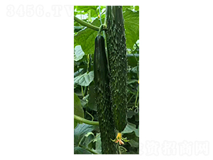 ������620-�S�ϷN��-���N�I(y��)