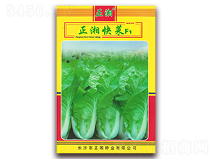 ������-�ײ˷N��-����N�I(y��)