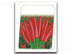 �����t-�����N��-����(y��u)�r(n��ng)�I(y��)