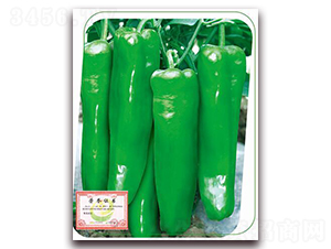 ����-�����N��-����(y��u)�r(n��ng)�I(y��)