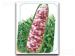 �փ�(y��u)����Ŵ-Ŵ���׷N��-����(y��u)�r(n��ng)�I(y��)