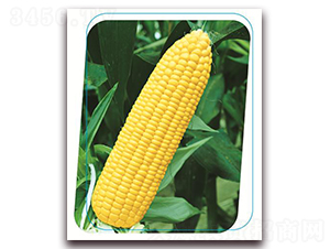 �փ�(y��u)�����r��-Ŵ���׷N��-����(y��u)�r(n��ng)�I(y��)