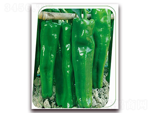 ���Aһ̖-�����N��-����(y��u)�r(n��ng)�I(y��)