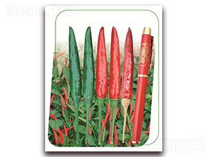 �η�5̖-�����N��-����(y��u)�r(n��ng)�I(y��)