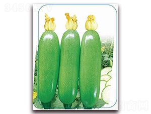 ����35-�����J�N��-����(y��u)�r(n��ng)�I(y��)