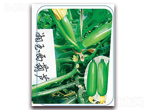 ����-�����J�N��-����(y��u)�r(n��ng)�I(y��)