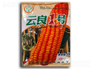 ����1̖(h��o)-��(ch��)Ȫ�N�I(y��)