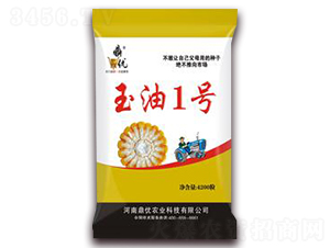 ����һ̖(h��o)-���׷N��-����(y��u)�r(n��ng)�I(y��)