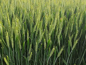 �A��865-С���N��-�A��