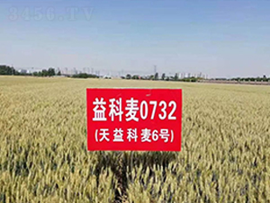 �������6̖(h��o)-С���N��-�A��