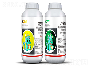 �����A+������-�����T-�_��������