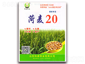 ����20-С���N��-��Դ�N�I(y��)