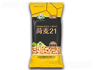 ����21-С���N��-��Դ�N�I(y��)