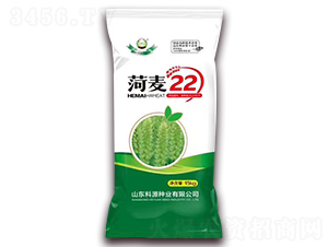 ����22-С���N��-��Դ�N�I(y��)