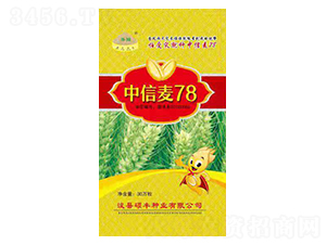 ������78-С���N��-�T�S