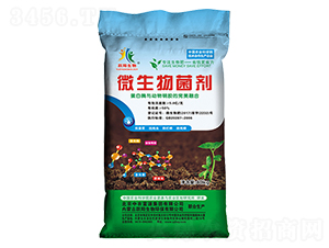 ΢�������-�S�