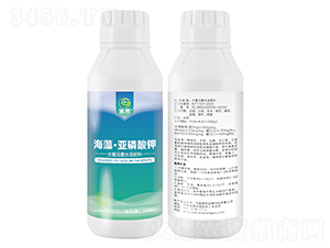 ���塤�������-��Ȼ����