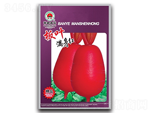 ���~�M���t-�t�}���N��-�߿ƷN�I(y��)