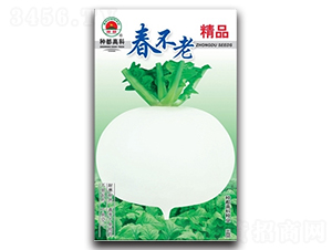 ������-�}���N��-�߿ƷN�I(y��)