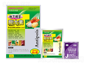 ���������-ʥ�ϝ�(r��n)