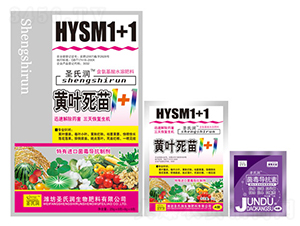 �S�~����1+1-ʥ�ϝ�(r��n)