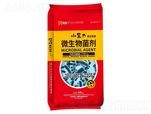 �۹Ȱ���΢�������-С����-�r(n��ng)��һ