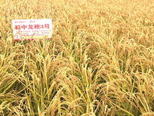 ��������3̖-С���N��-���S�N�I(y��)