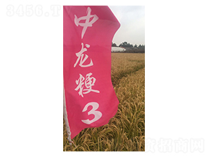 ������3̖-С���N��-���S�N�I(y��)