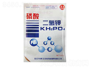 ��������-̩��ʘI(y��)