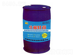 ���������-�|�r(n��ng)����