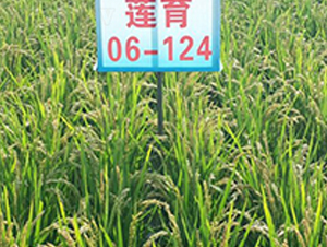 ɏ��06-124-ˮ���N��-ɏ�R�r(n��ng)�I(y��)