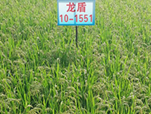 ����10-1551-ˮ���N��-ɏ�R�r(n��ng)�I(y��)