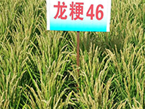 ����46-ˮ���N��-ɏ�R�r(n��ng)�I(y��)