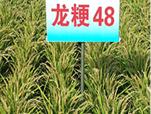 ����48-ˮ���N��-ɏ�R�r(n��ng)�I(y��)