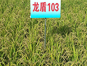 ����103-ˮ���N��-ɏ�R�r(n��ng)�I(y��)