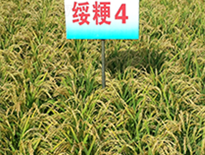 ����4-ˮ���N��-ɏ�R�r(n��ng)�I(y��)