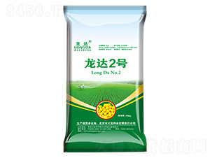 ���_(d��)2̖(h��o)-���_(d��)-�����N�I(y��)