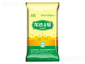 ���_(d��)4̖(h��o)-���_(d��)-�����N�I(y��)