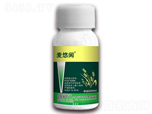 3%�p�������ͪ-�����e-�S�՘�