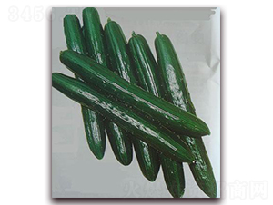 ����С�S��-�S�ϷN��-���\(ch��ng)�N��