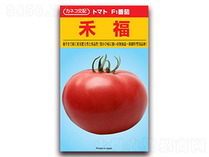 �̸�-���ѷN��-���\�N��