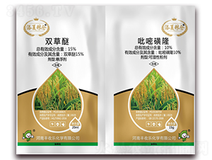 15%�p����+10%���׻�¡-���ļZ�}(c��ng)-�S�՘�