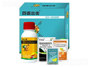 ����һ�w���ײ�-�������-�S�՘�