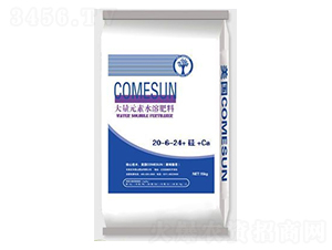 ����Ԫ��ˮ�ܷ�20-6-24+��+Ca-����ʘI(y��)