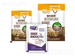 �������焩-���_(d��)