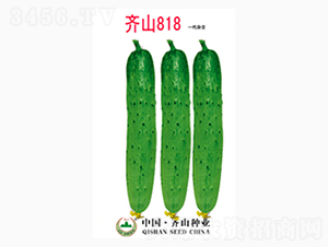 �Rɽ818-�Rɽ�N�I(y��)