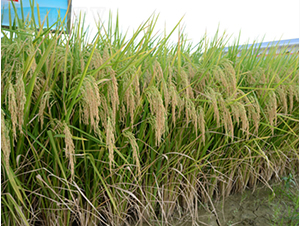 ��ռ��(y��u)�ͽz-�G���N�I(y��)